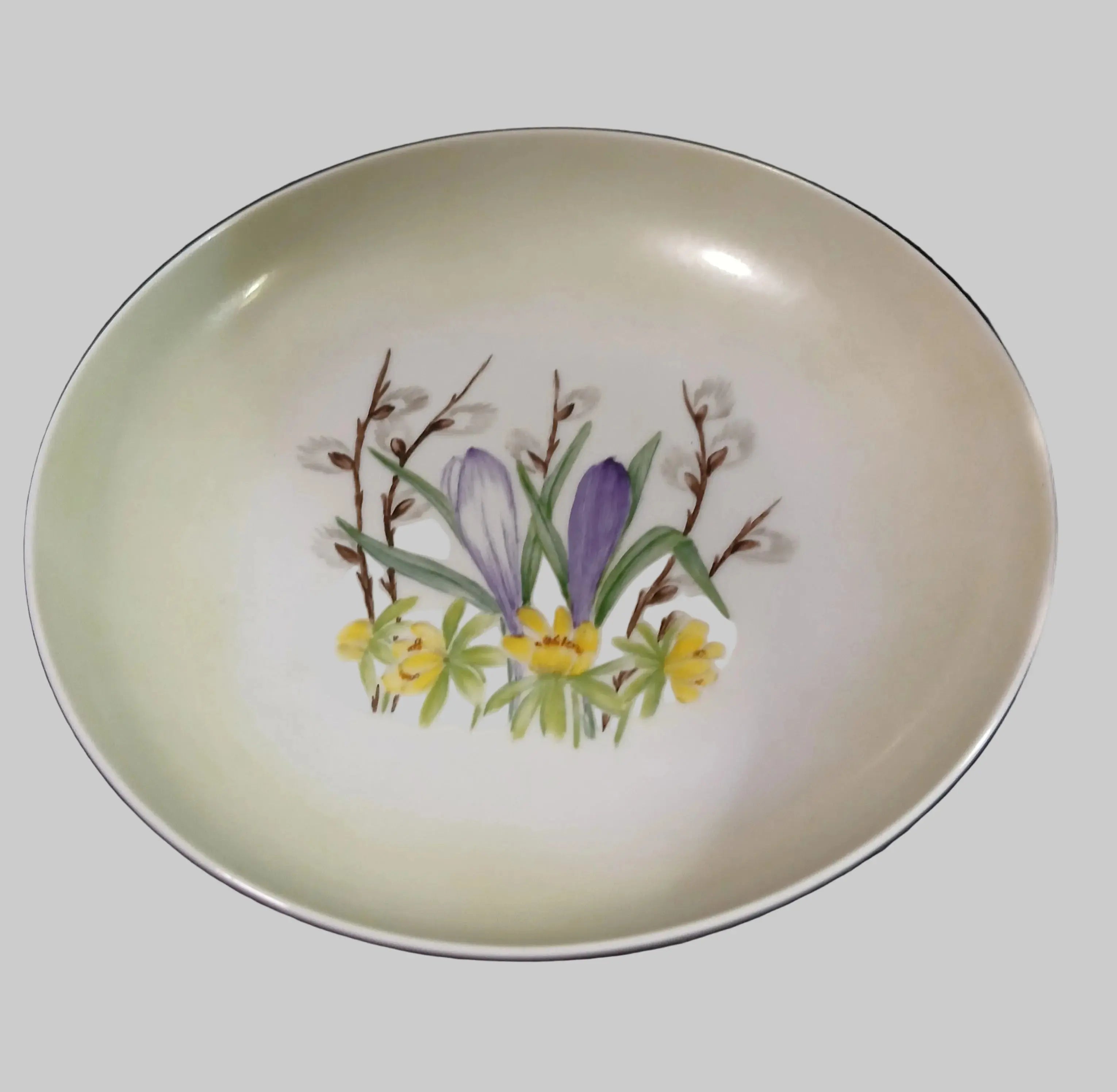Schönwald 1957 Hand-Painted Porcelain Bowl| German Mid-Century Collectible Schönwald