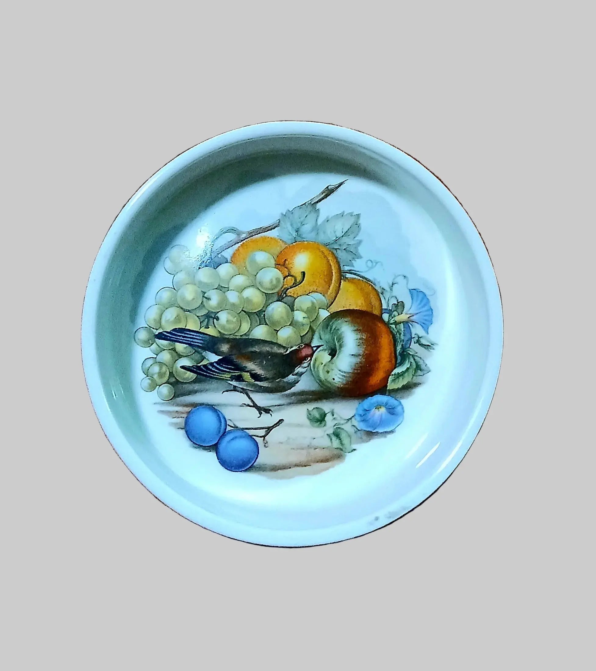 Johnson Brothers Vintage Earthenware Trinket Dish | Hand-Painted Botanical Bird Johnson Brothers