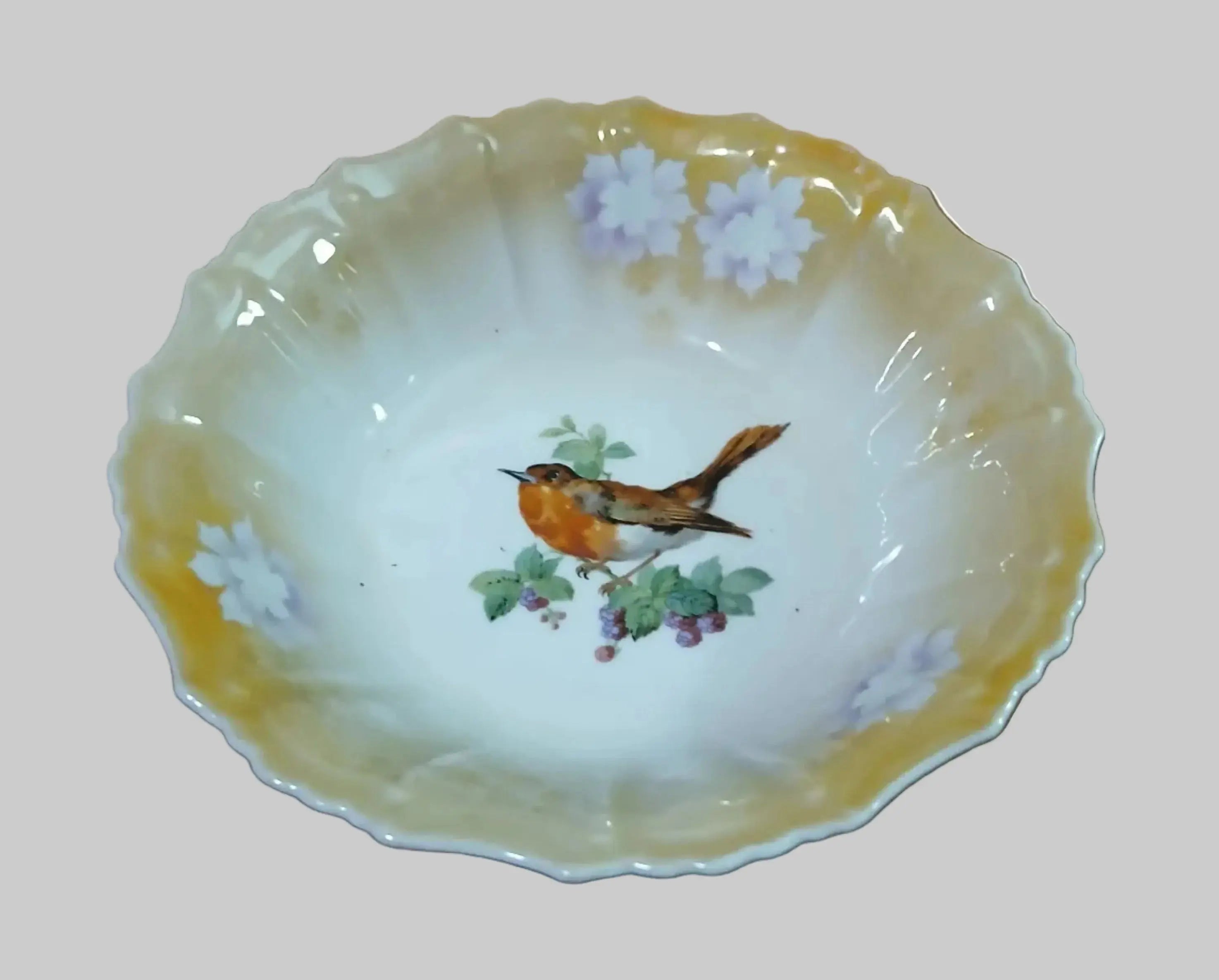 Antique Silesia Porcelain Lusterware Bowl – Kino Steinmann, Hand-Painted Robin, c. 1915–1928 Kino Steinmann