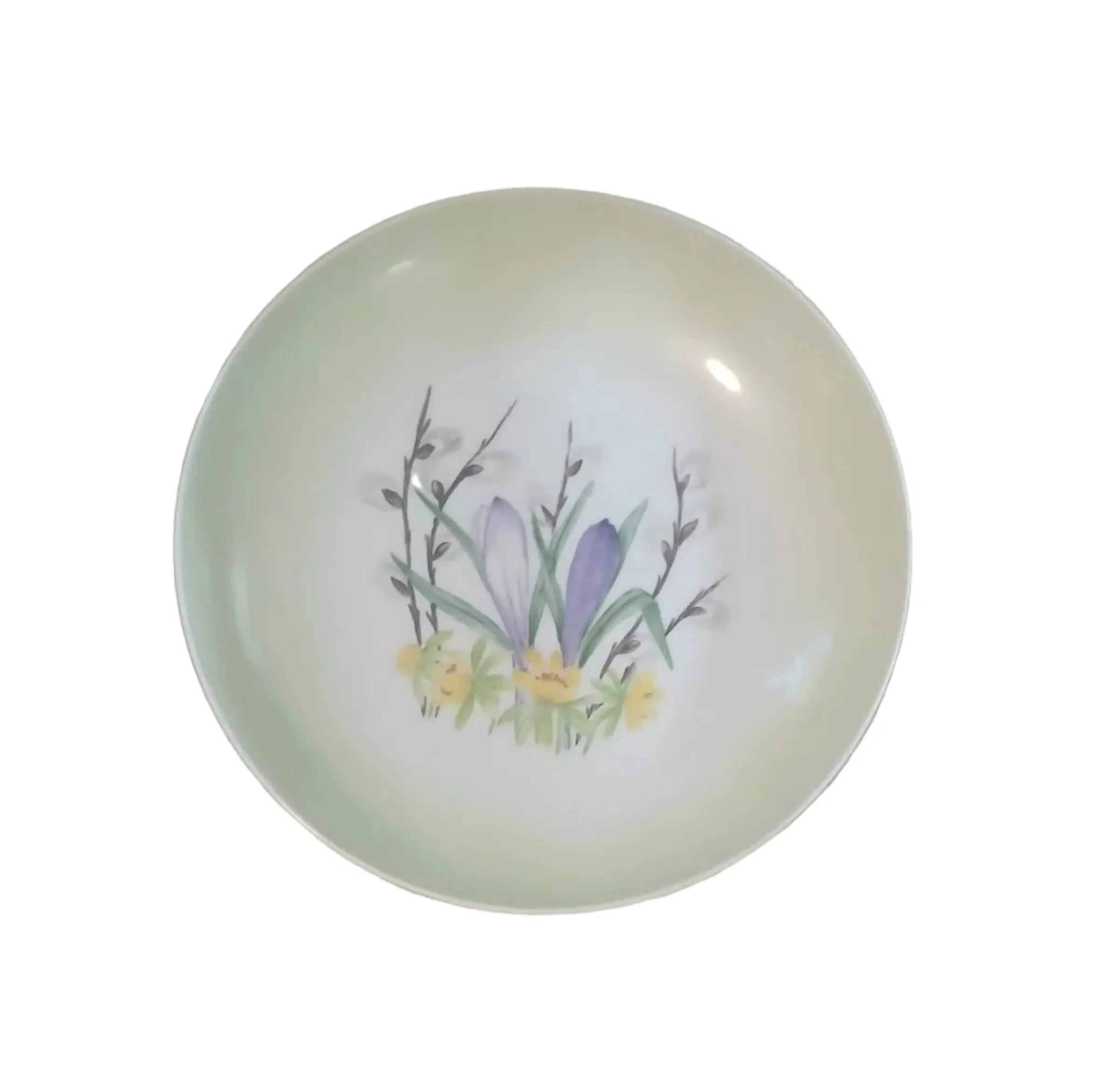 Schönwald 1957 Hand-Painted Porcelain Bowl| German Mid-Century Collectible Schönwald