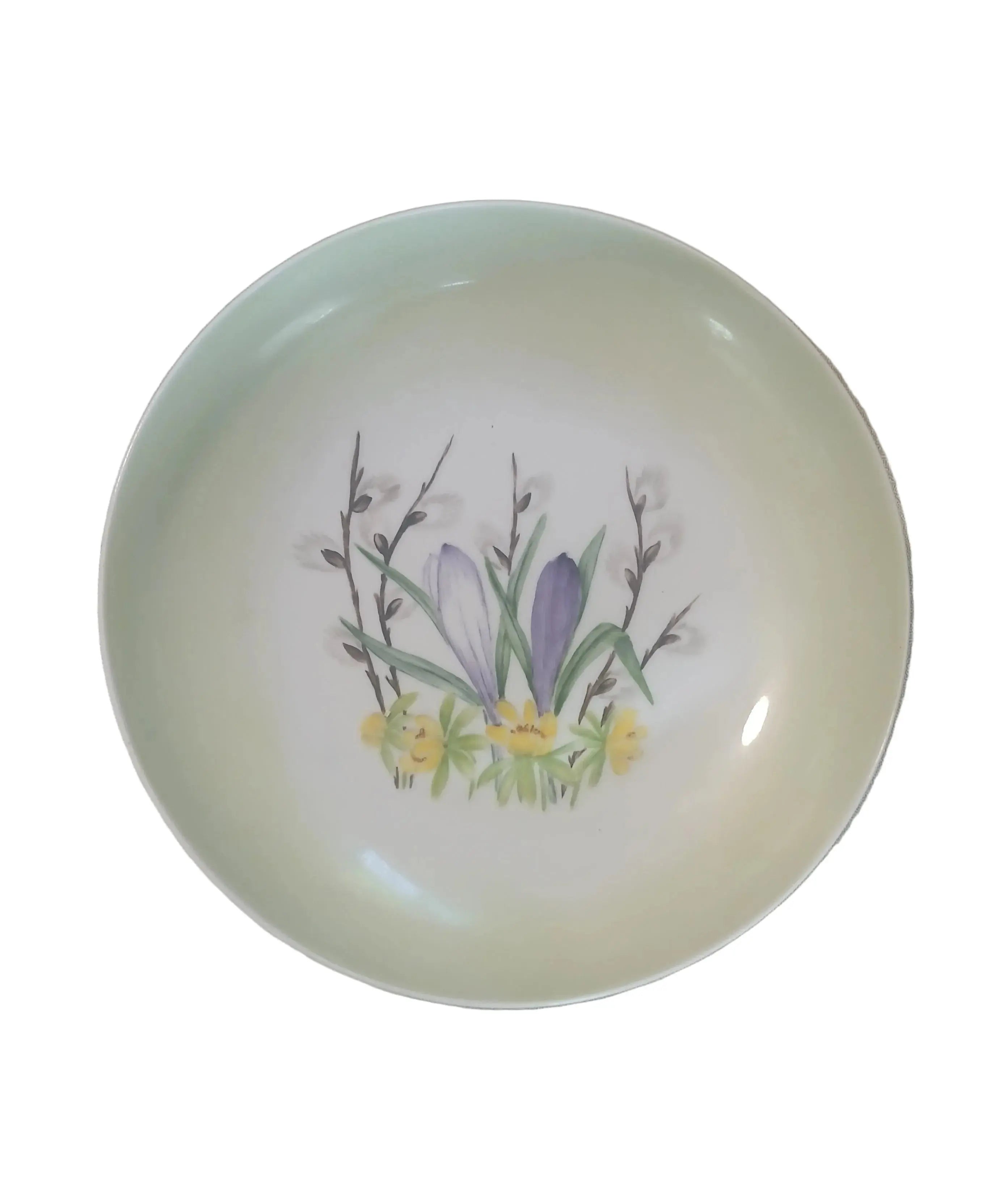 Schönwald 1957 Hand-Painted Porcelain Bowl| German Mid-Century Collectible Schönwald